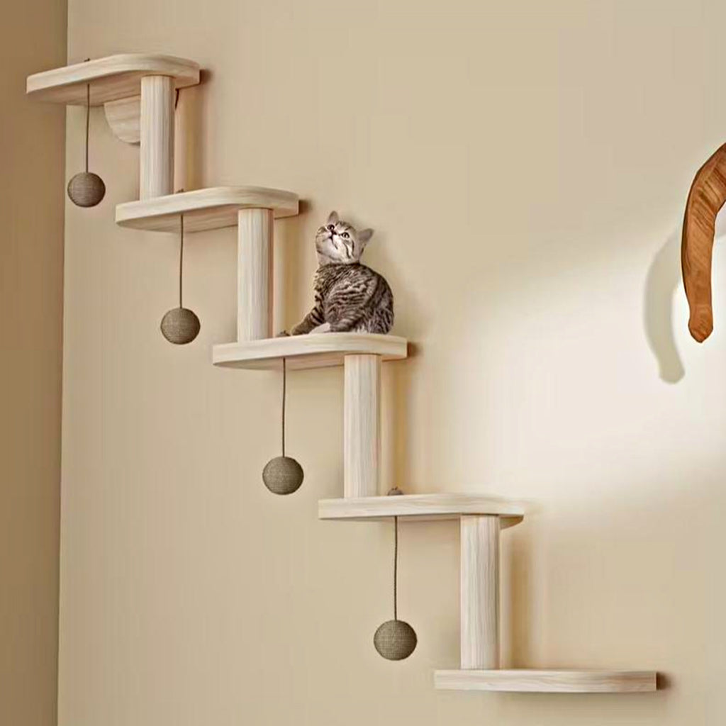 Cat perched on the wall climber with hanging balls