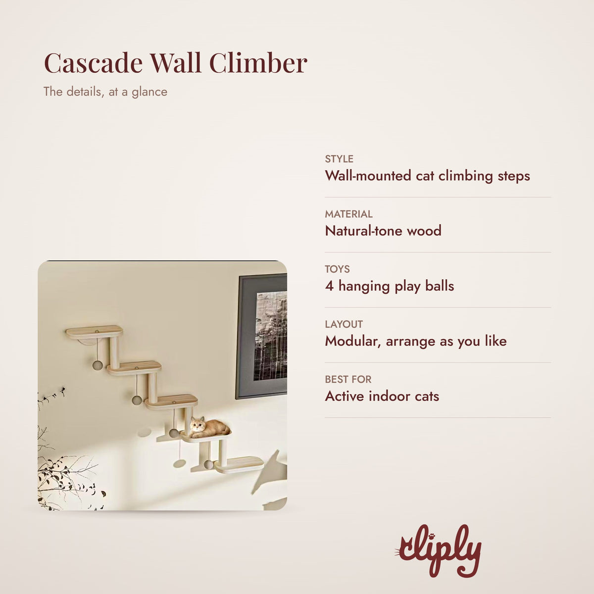 Cascade wall climber details