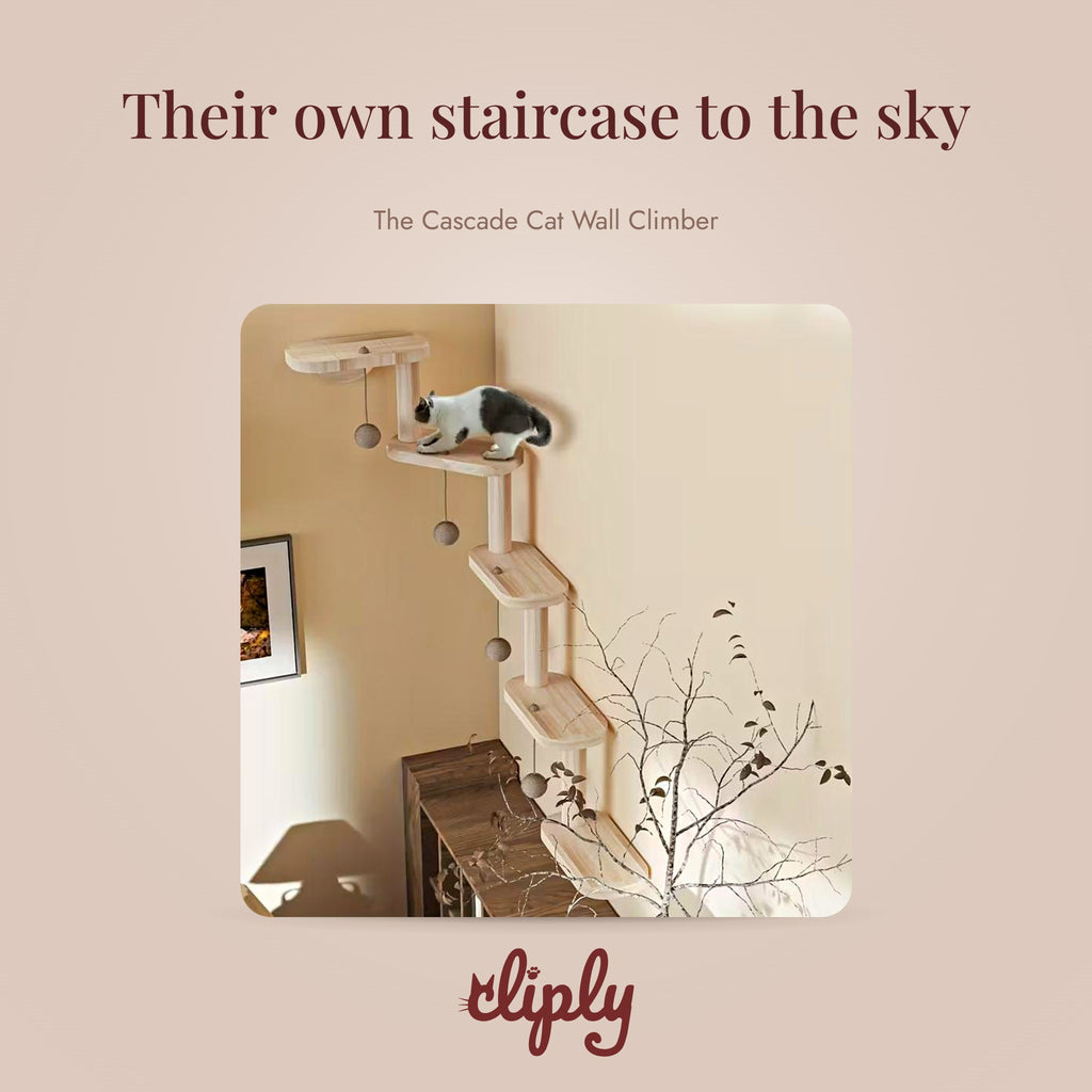 The Cascade Cat Wall Climber by Cliply
