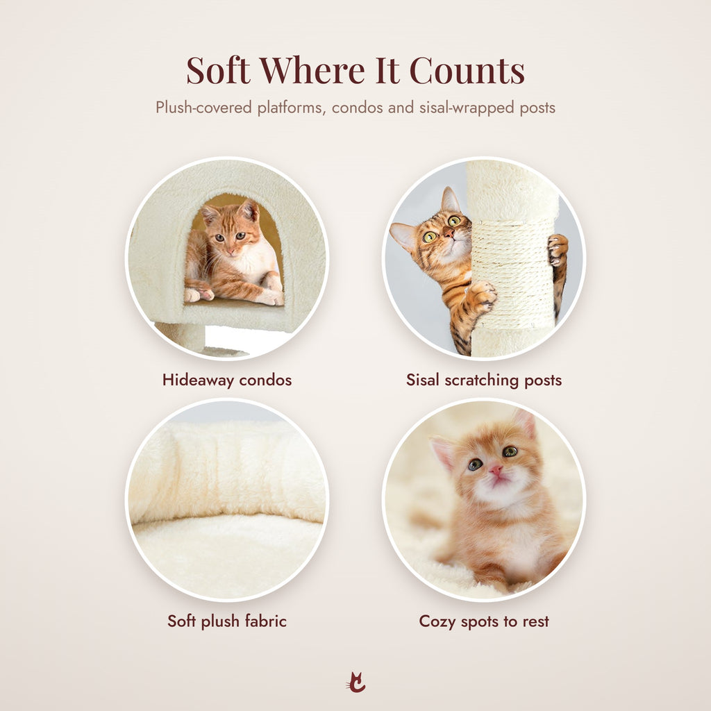 Plush condos, sisal posts and cozy perches