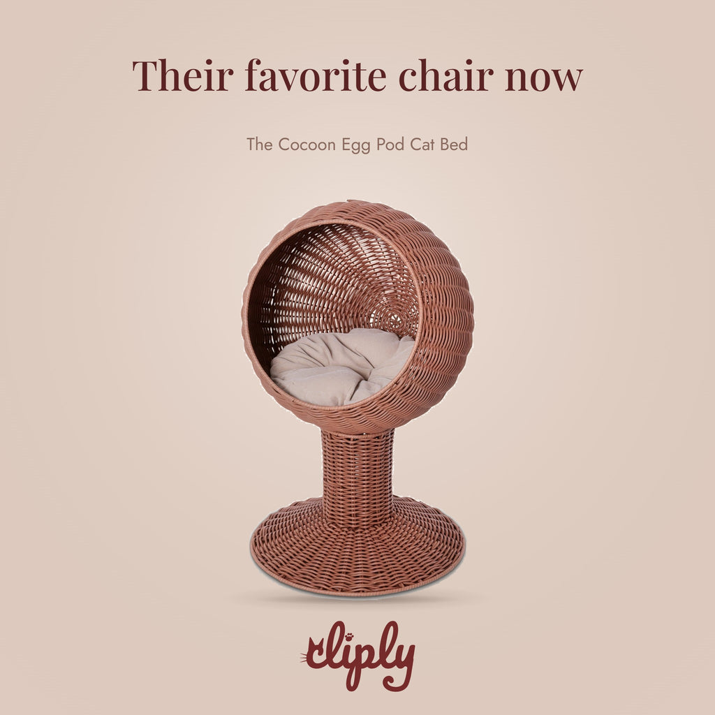 Cocoon Swivel Egg Pod Cat Bed by Cliply