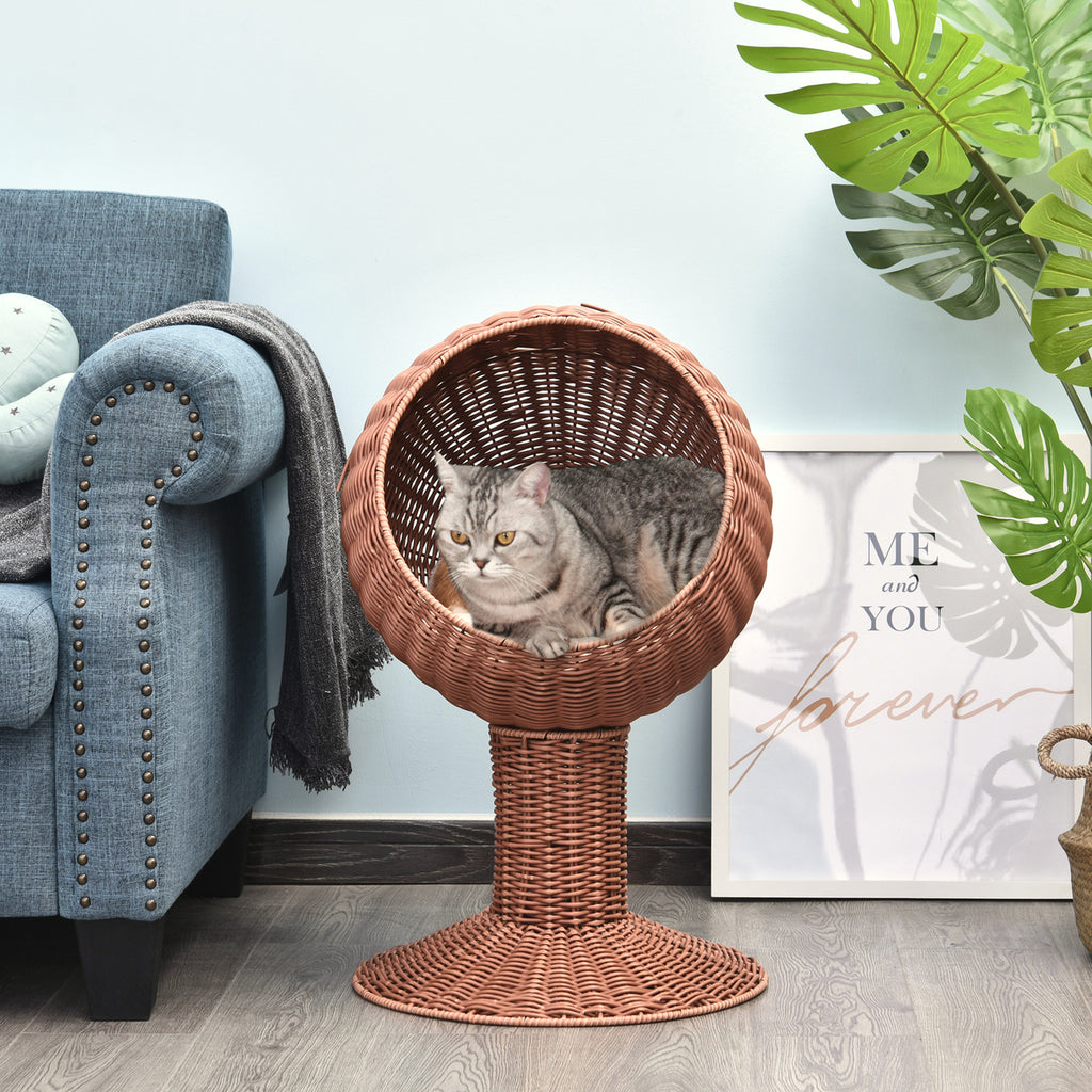Tabby cat resting in the Cocoon elevated egg pod cat bed in a bright living room