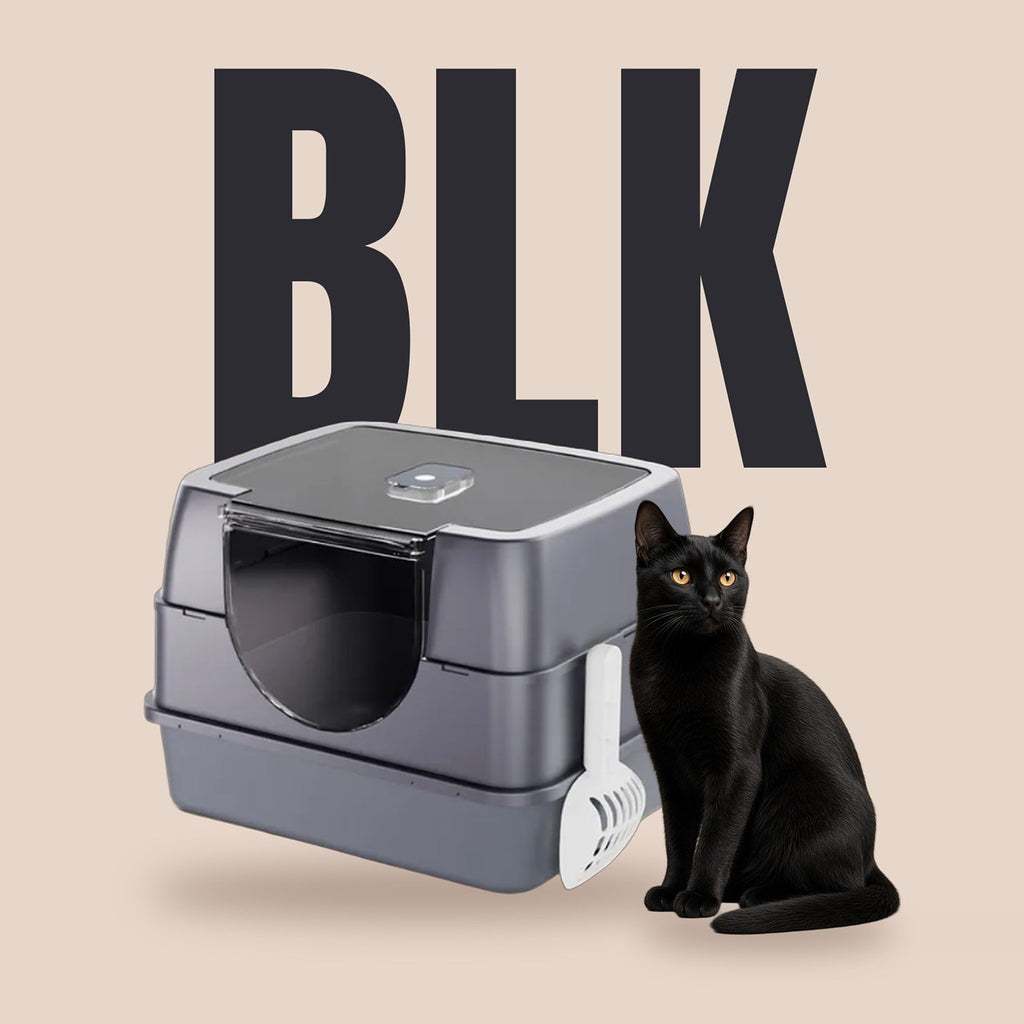 Galaxy enclosed cat litter box in charcoal with a black cat on a warm blush backdrop