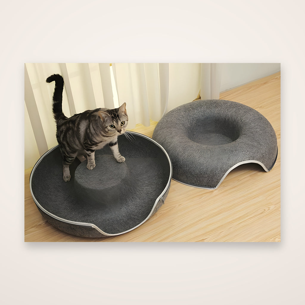 Donut cat tunnel bed unzipped into two open felt cat beds with a tabby cat