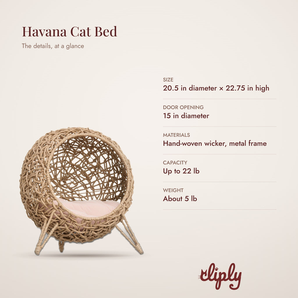 Havana Hand-Woven Elevated Cat Bed details
