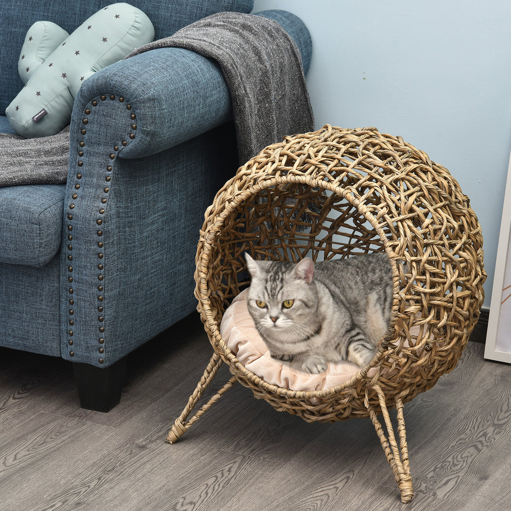 Cat relaxing in the Havana elevated wicker cat bed beside an armchair in a living room