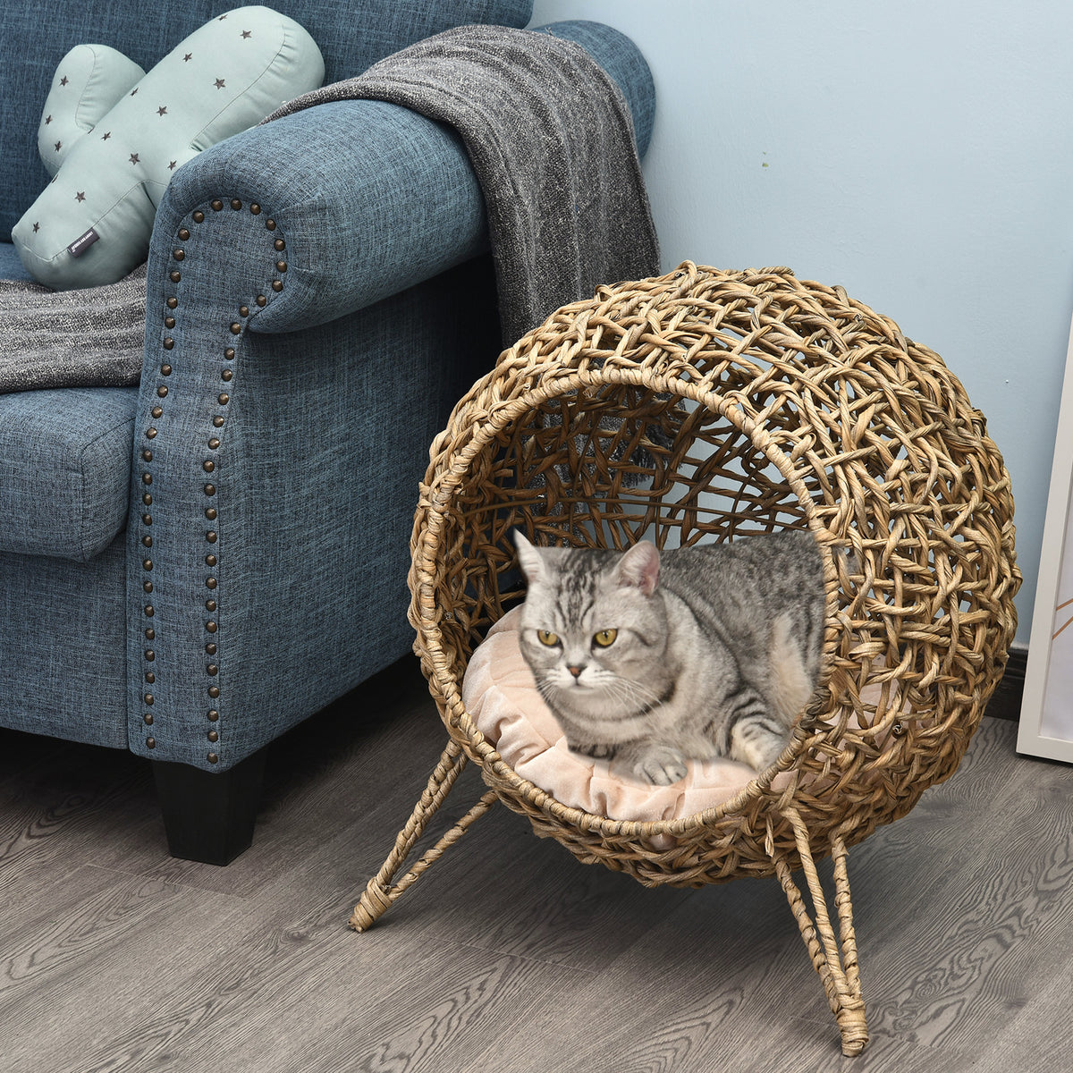 Cat relaxing in the Havana elevated wicker cat bed beside an armchair in a living room