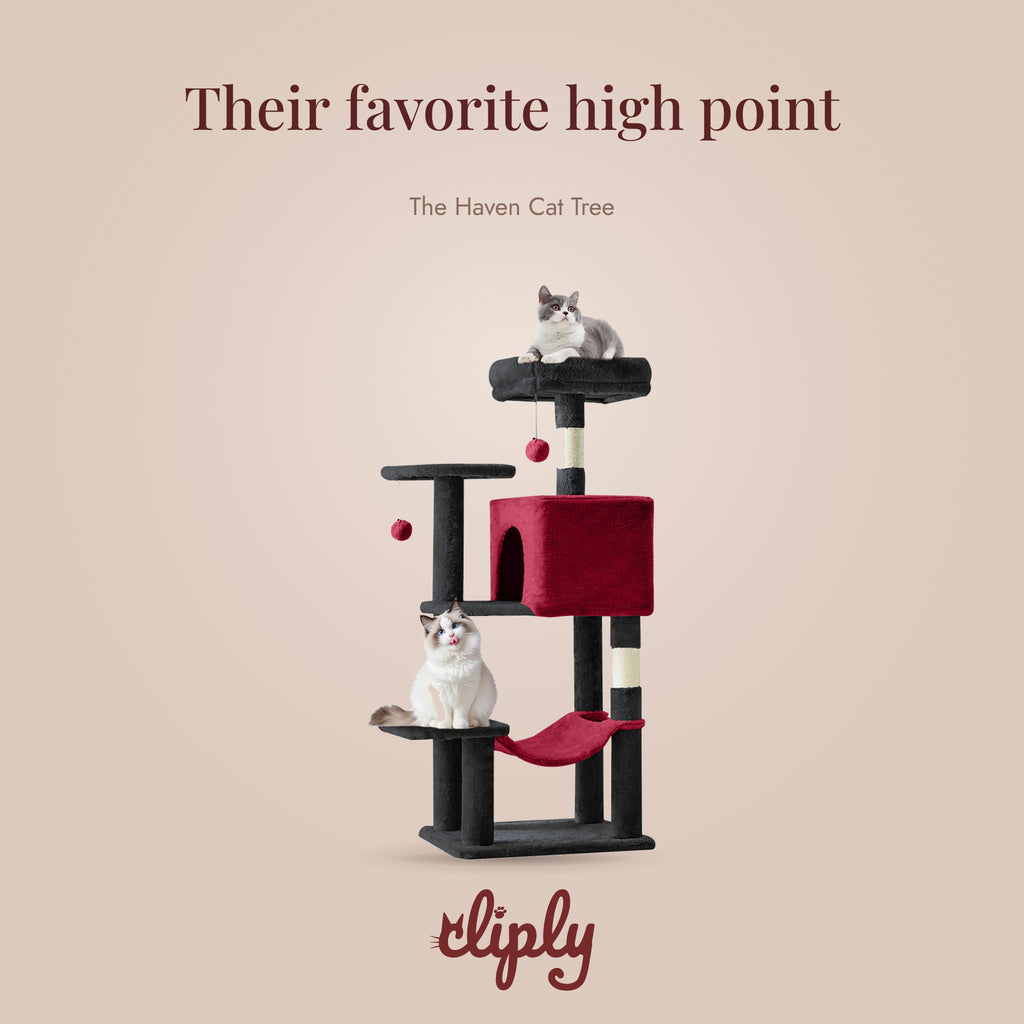 The Haven Cat Tree by Cliply