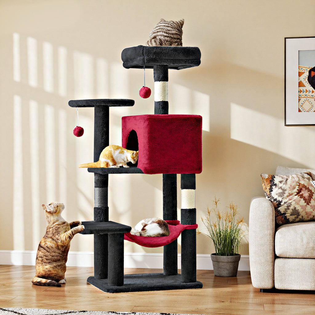 Cats on the black and red cat tree in a sunny room
