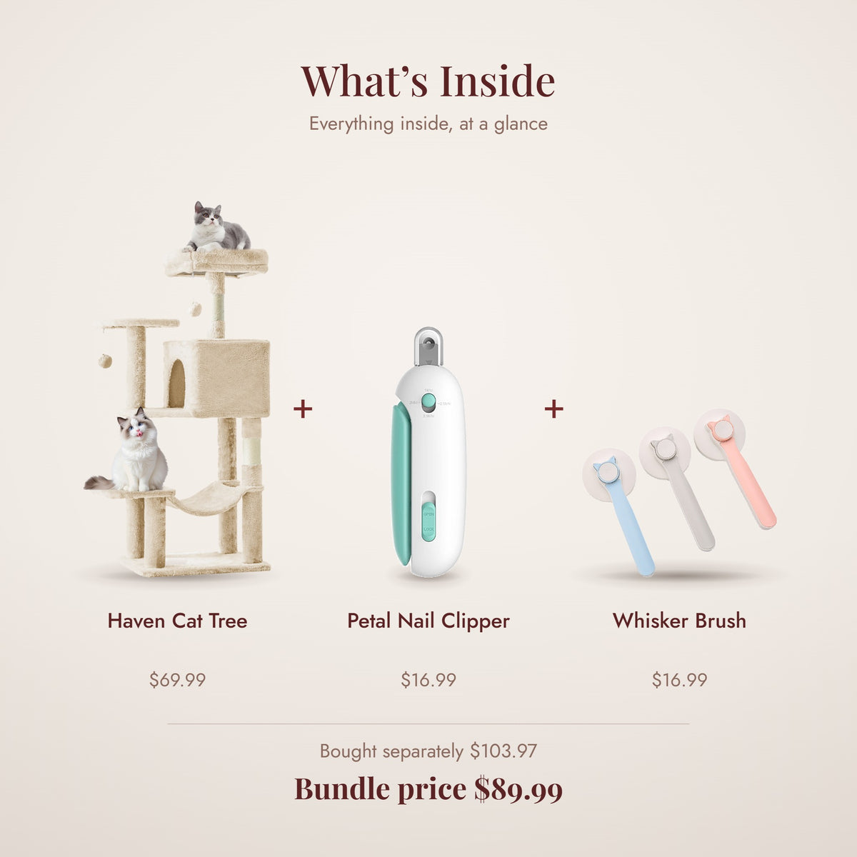 Kitten Starter Kit: what’s inside