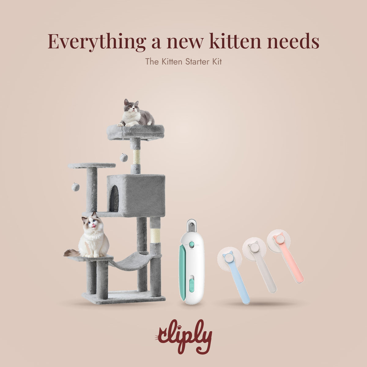 Kitten Starter Kit by Cliply