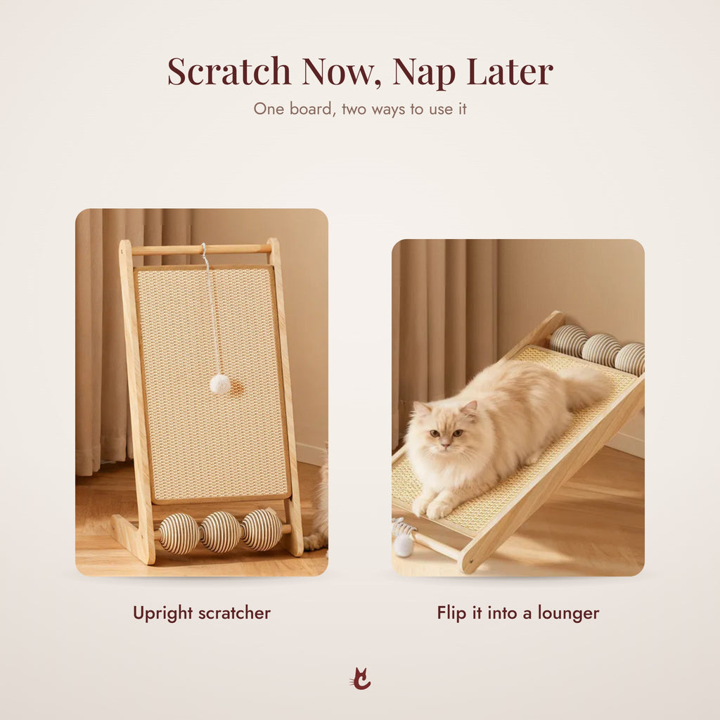 Upright scratcher that flips into a lounger