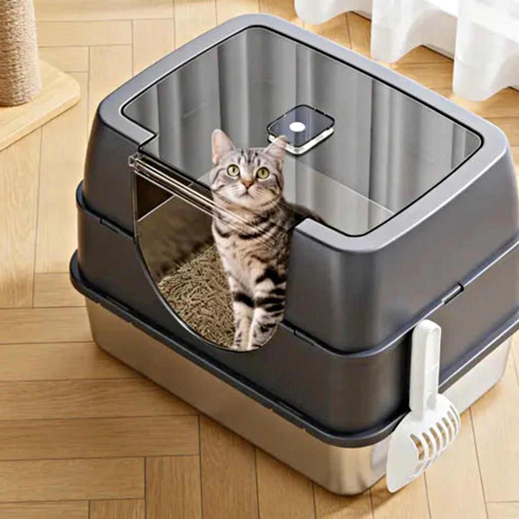 Cat inside the spacious enclosed litter box