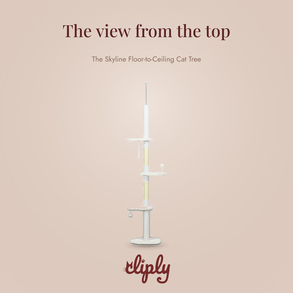 Skyline Floor-to-Ceiling Cat Tree by Cliply