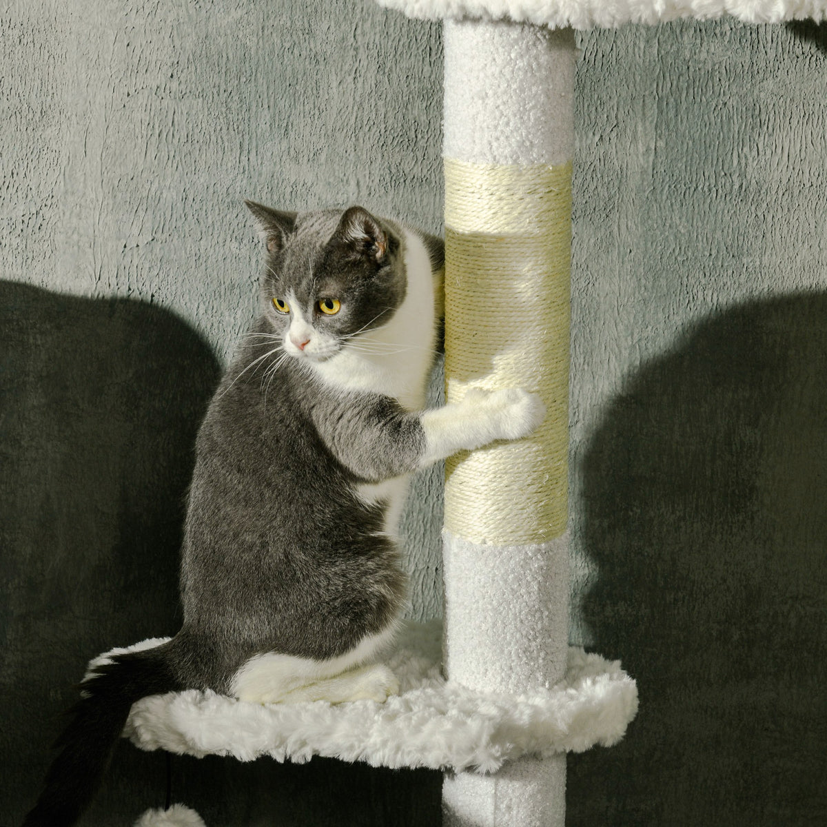 Cat using the rope-wrapped scratching post on the Skyline modern cat tree