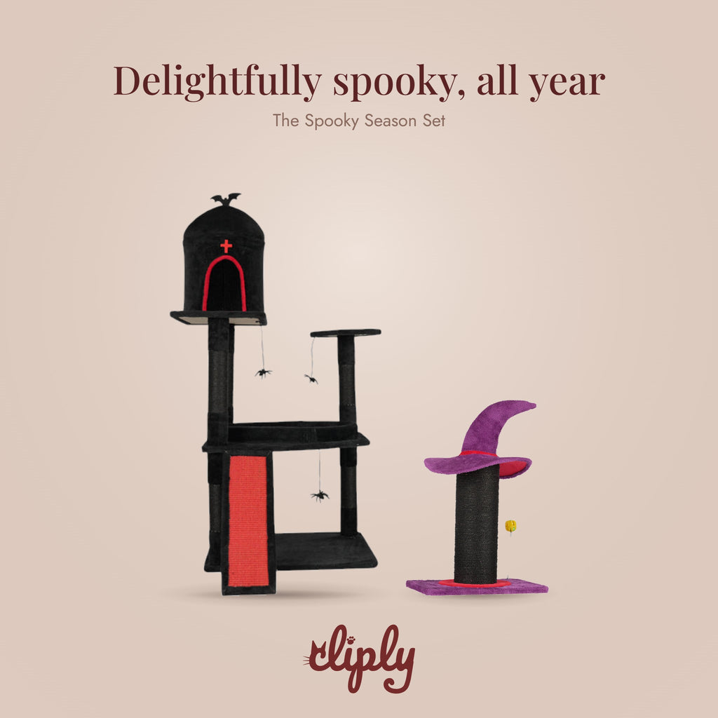 Spooky Season Set by Cliply