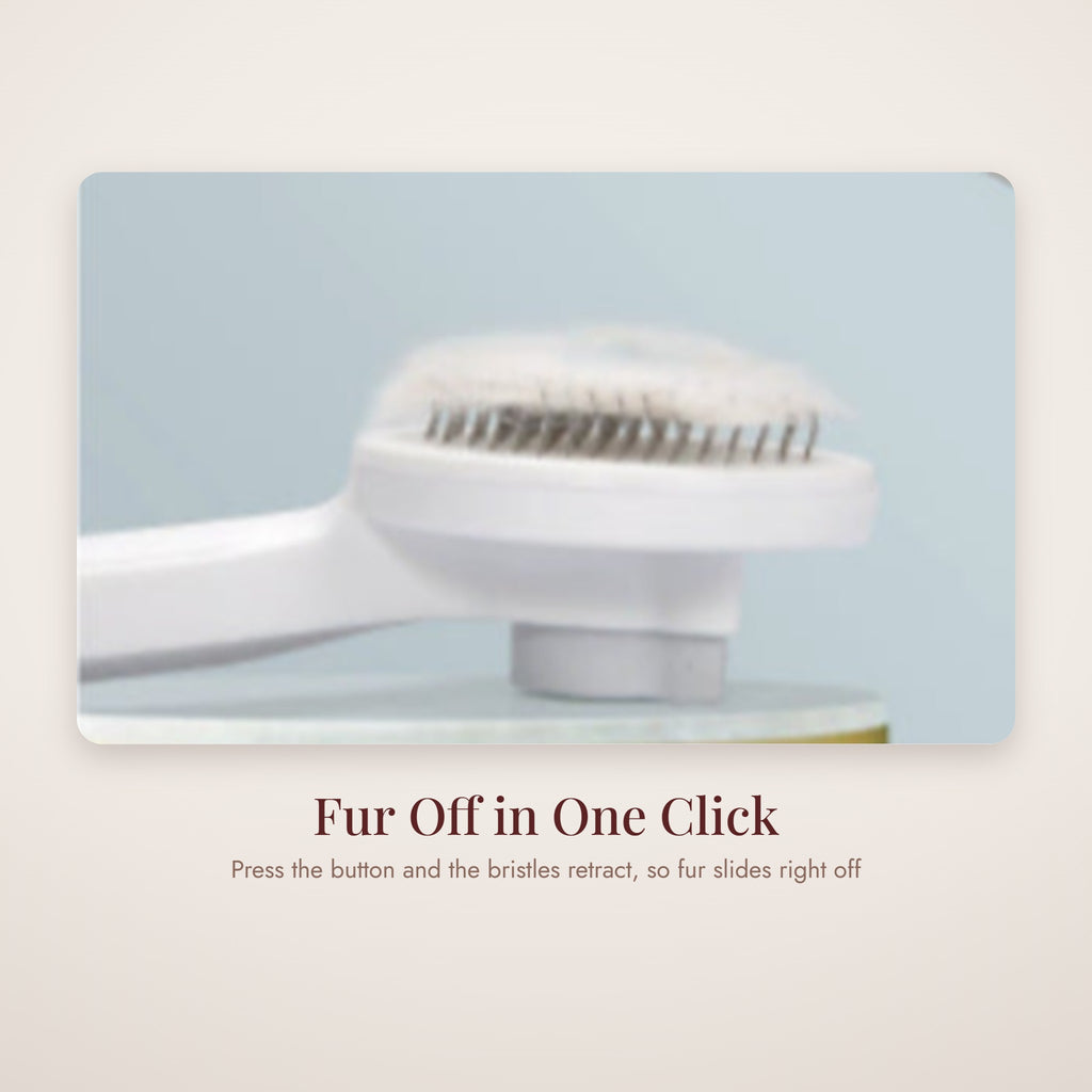 Self-cleaning brush head releasing fur in one click