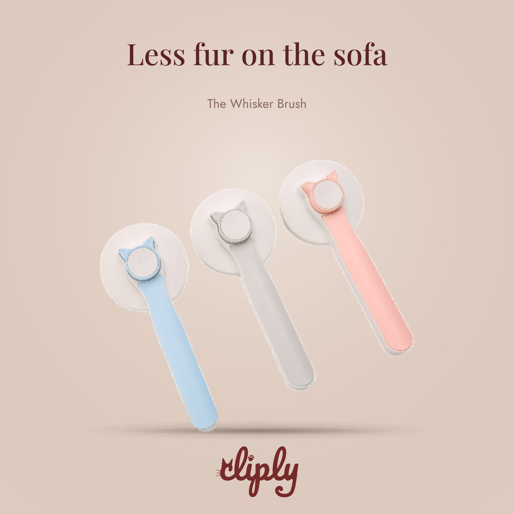 The Whisker Brush by Cliply
