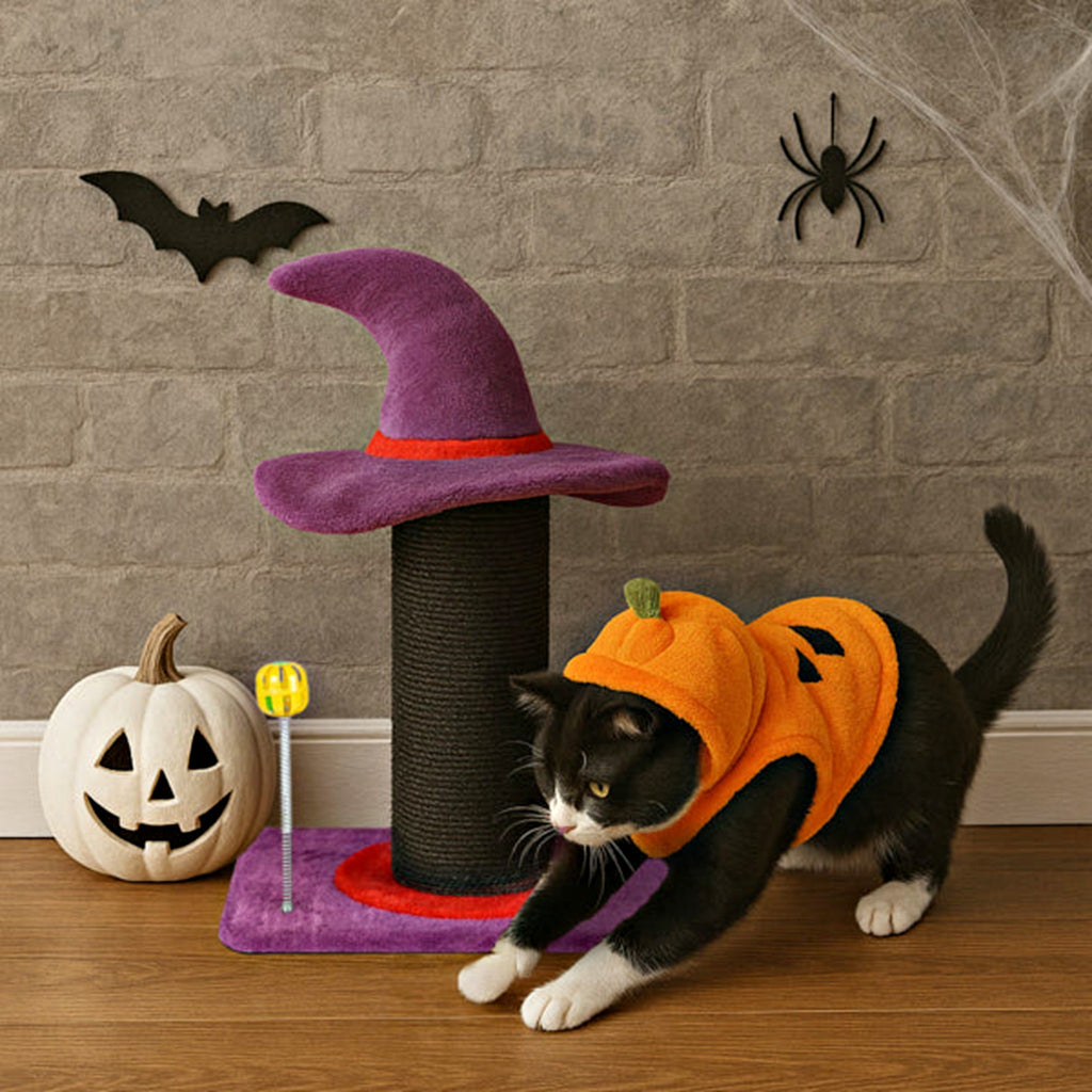 Cat in a pumpkin costume playing with the wizard hat scratching post