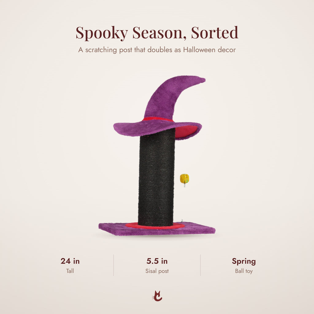 Wizard hat scratching post highlights